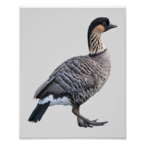Nene