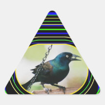 Neon Awesome Blackbird with Seed Image Colorful Triangle Sticker