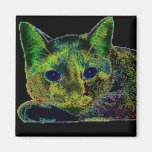 Neon Blue Eyed Cat Refrigerator Magnet