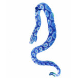 Neon blue snake t-shirts