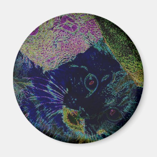 Neon Kitten Magnet