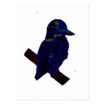 Neon Kookaburra Postcards