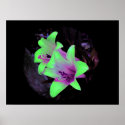 Neon Lilies Photograph Poster / Pring posters