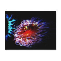 Neon Sea Anemones