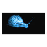 Neon snail photo cards