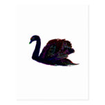 Neon swan on river post card