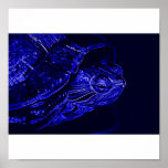 Neon Terrapin posters