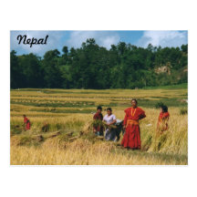 Nepal Family postcard