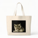 Nephry bags