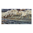 Neptune'S Horses By Crane Walter photo cards