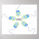 NERD - X-Ray Computer Mice Original Negative posters