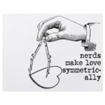 Nerds Make Love Symmetrically flyers