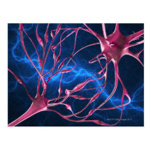 Nerve synapses, computer artwork. postcards