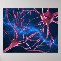 Nerve synapses, computer artwork. posters