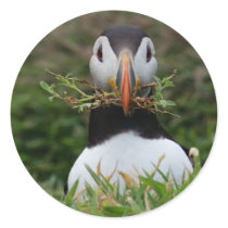 Nest Builder Puffin Sticker