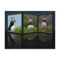 Nest Building Puffin Postcard