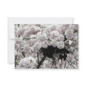 Nest invitations