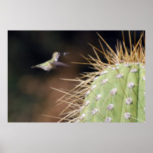 Nest Maker Print