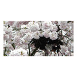 Nest Picture Card