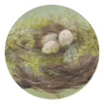 Nest Sticker