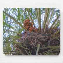 Nesting Dove Mouse Pads