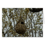 Nesting In The Pussy Willow Card