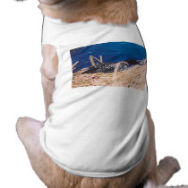 Nesting Loon Pet Clothing