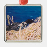 Nesting Loon Square Ornament
