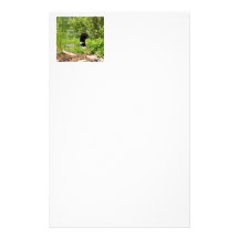 NESTING LOON Stationary Customized Stationery