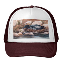 Nesting Time Loon Hat