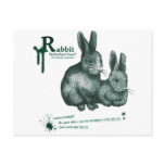 Netherland Dwarf : Rabbit - ink postcards