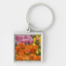 Netherlands aka Holland), Lisse. Keukenhof 4 Keychains