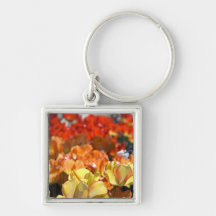 Netherlands aka Holland), Lisse. Keukenhof Keychain