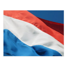Netherlands Flag Postcard