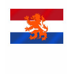Netherlands Rampant lion Netherlands flag t-shirts