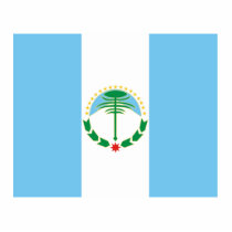 Neuquen Province In Argentina, Argentina Acrylic Cut Outs