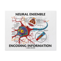 Neural Ensemble Encoding Information (Neuron)
