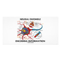 Neural Ensemble Encoding Information (Neuron)