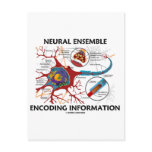 Neural Ensemble Encoding Information (Neuron) postcards