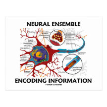 Neural Ensemble Encoding Information (Neuron) Post Card