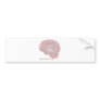 Neural Plasticity Bumper Sticker