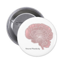 Neural Plasticity Pin