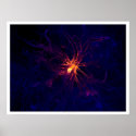 Neuron posters