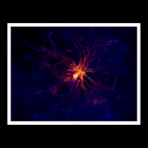 Neuron posters