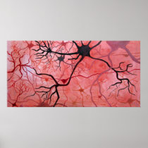 Neurons canvass