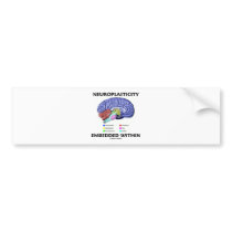 Neuroplasticity Embedded Within (Brain Anatomy)