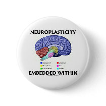 Neuroplasticity Embedded Within (Brain Anatomy)