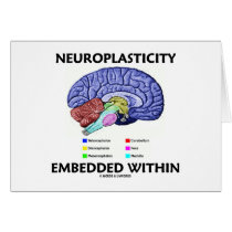 Neuroplasticity Embedded Within (Brain Anatomy)