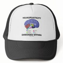Neuroplasticity Embedded Within (Brain Anatomy)