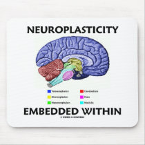 Neuroplasticity Embedded Within (Brain Anatomy)